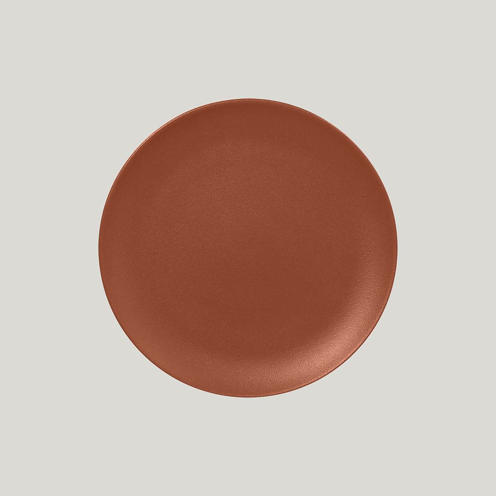 Тарелка RAK Porcelain Neofusion Terra круглая плоская 21 см (терракоторый цвет)