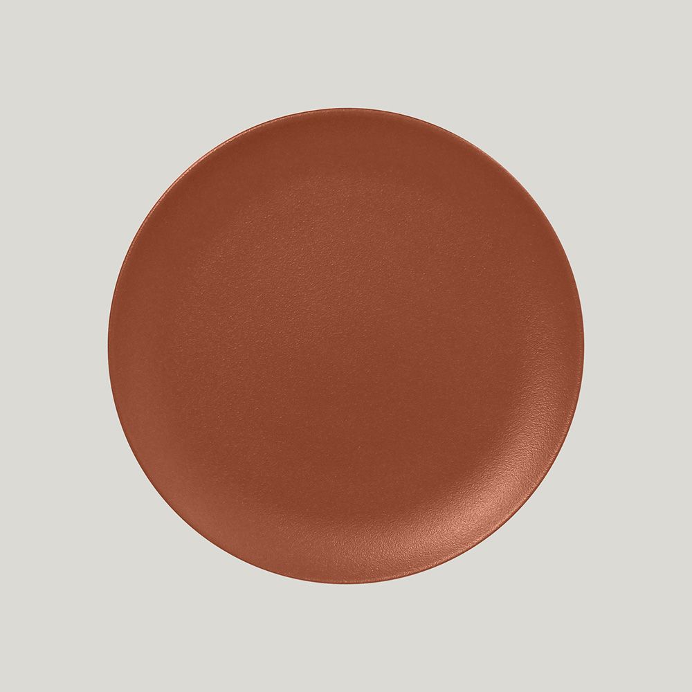 Тарелка RAK Porcelain NeoFusion Terra круглая плоская 24 см, терракотовый цвет